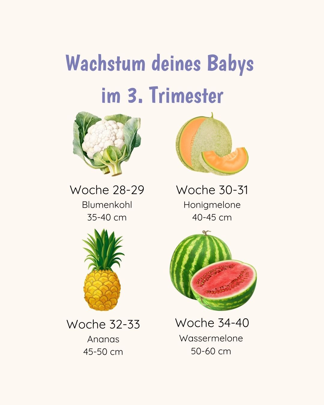 Im 3. Trimester wird dein Baby immer größer und bereitet sich auf die Geburt vor. Von der Größe eines Blumenkohls bis hin zur Wassermelone – es ist unglaublich, wie viel sich in den letzten Wochen verändert. 🍉✨

#bellababyhappy_deutschland #babybauch #drittestrimester #mamawerden #schwangerschaft