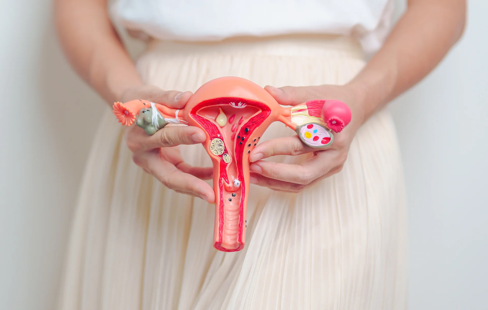 Menstruation, Eisprung & Co.: So funktioniert dein Zyklus! 